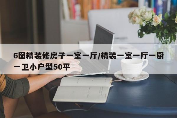 6图精装修房子一室一厅/精装一室一厅一厨一卫小户型50平
