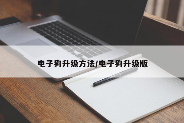电子狗升级方法/电子狗升级版