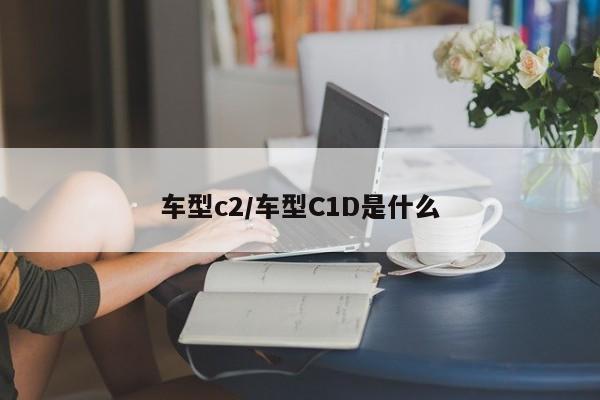 车型c2/车型C1D是什么