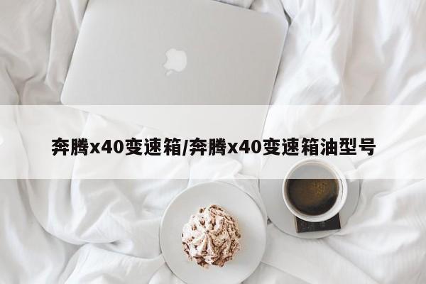 奔腾x40变速箱/奔腾x40变速箱油型号